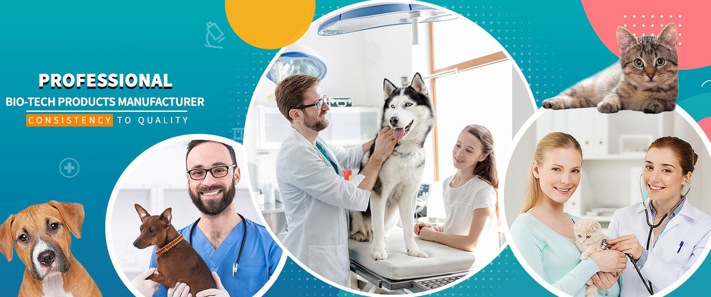 FELV Ag Test - Feline Leukemia Rapid Testing Kit for Cats