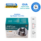 Canine Feline GIARDIA Ag Rapid Test Kit (2, 5, 10) Tests for Dogs & Cats